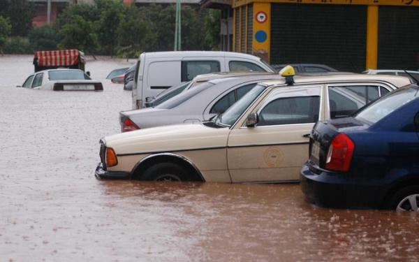 صورة من الأرشيف