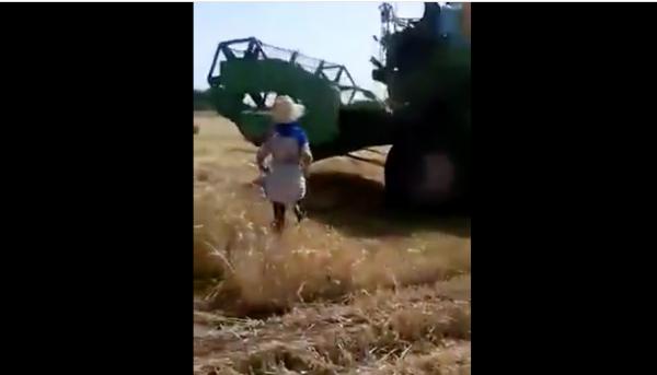 فيديو صادم لسيدة أضرمت النار في محصول للقمح وحاولت الانتحار أمام آلة درس بسبب خلاف أسري