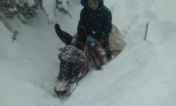 صورة من المغرب المنسي مهداة إلى الحكومة