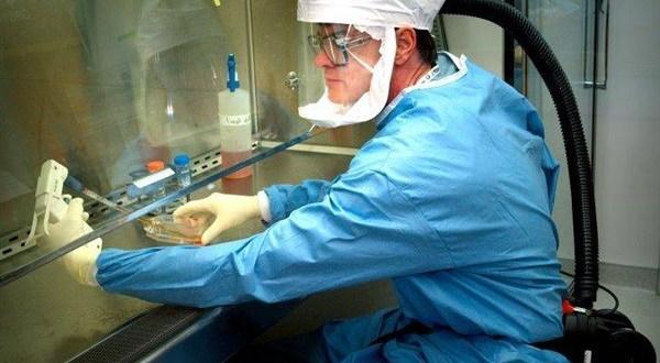 علماء يتوصلون إلى نقطة ضعف فيروس "كورونا"