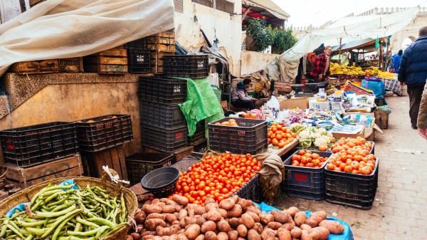 وزير الصناعة والتجارة: الحكومة تعمل جاهدة من أجل عودة الأسعار إلى مستواها العادي