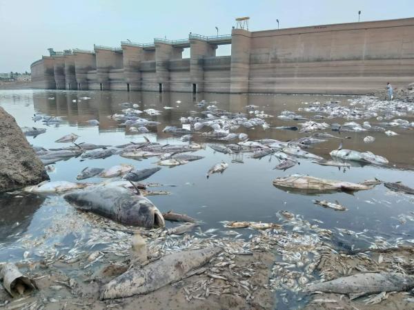 حماقة جديدة للكابرانات.. تحميل المغرب مسؤولية الجفاف الذي يضرب غرب الجزائر وتهديد باللجوء إلى القضاء الدولي