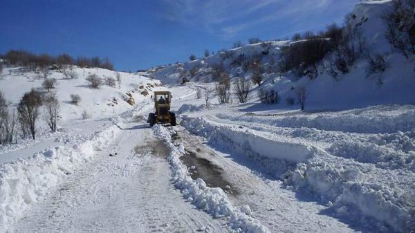 صورة من الأرشيف