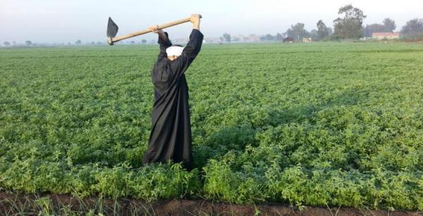 الدرك الملكي يعتقل المتهمين بقتل فلاح ضواحي إقليم تارودانت ..التفاصيل