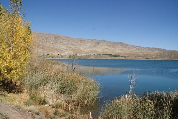 صورة من الأرشيف