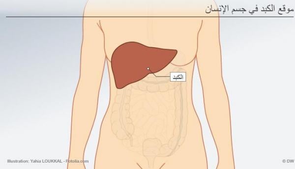 دراسة ألمانية: هذا ما يحدث في جسم الإنسان عند الصيام