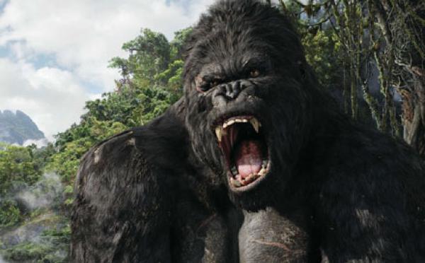 بالفيديو..غوريلا تحطم قفصها وتثير رعب زوار حديقة !