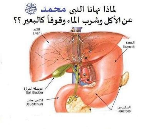 لماذا نهى النبىُ صلى الله عليه وسلم عن الأكل والشرب وقوفا