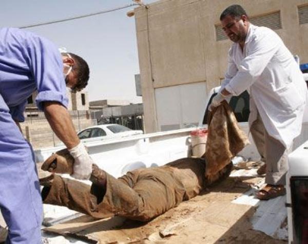 العثور على جثة في غابة بنسليمان بعد أن نهش وجهها حيوان  