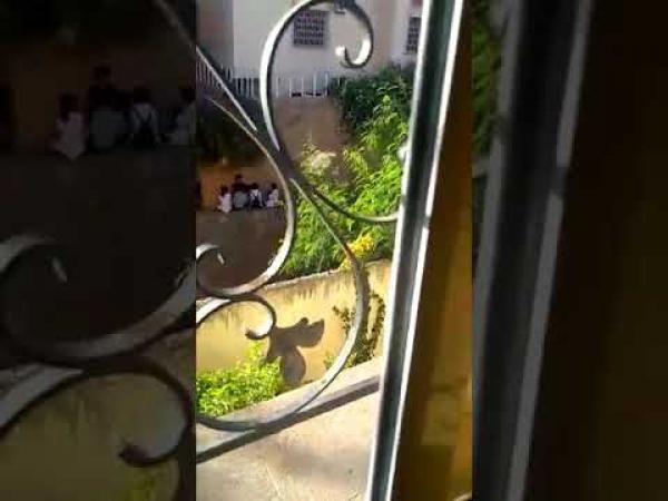 في مشهد صادم..تلميذات في عمر الزهور يتعاطين "السليسيون" (فيديو)