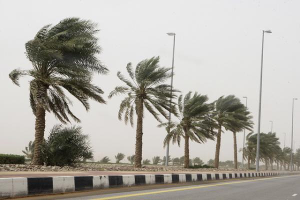 الأرصاد تحذر من رياح قوية مصحوبة بالغبار غدا الثلاثاء بهذه المناطق