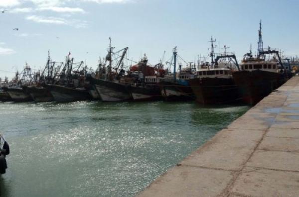 طانطان .. ميناء الوطية يهتز على وقع جريمة قتل بشعة هذه تفاصليها