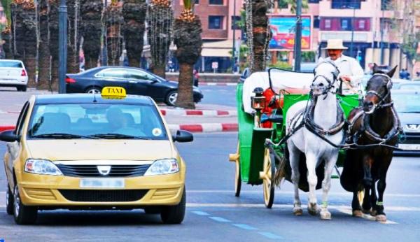 بعد واقعة مراكش.. مهتمون يقترحون حلا فعالا يروم وقف نزيف ابتزاز واستغلال السياح