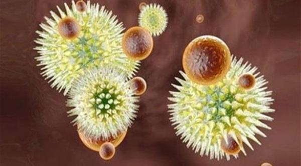 تقرير: ارتفاع الإصابات بإيبولا إلى 20 ألفاً بعد شهرين