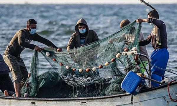 "السفاح" يروع الصيادين بشواطئ الشمال