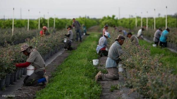 رغم الحجر الصحي...عمال موسميون مغاربة يصلون إلى إيطاليا والسلطات الإسبانية بدورها تفاوض المغرب
