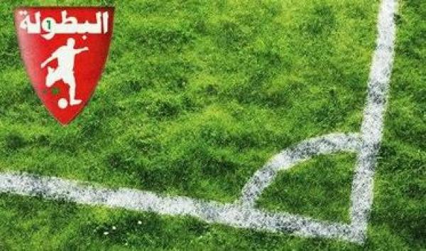 ترتيب البطولة الاحترافية (الدورة العاشرة)