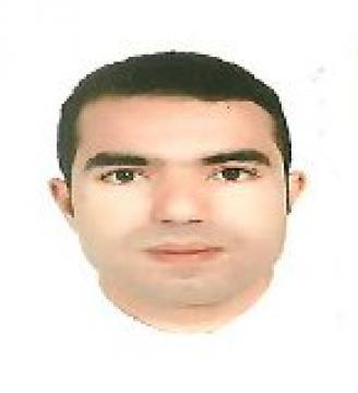 بلدان الربيع العربي: كوابح ومعيقات التحول الديمقراطي