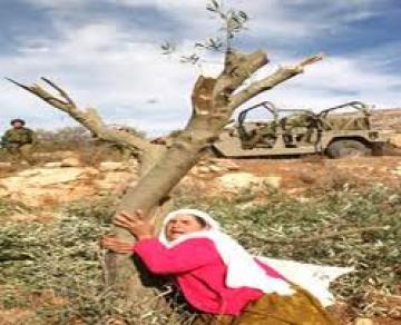 يوم الأرض  بعيون مقدونية 