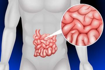 3 أعراض لسرطان الأمعاء انتبه إليها.. أحدها يحدث أثناء النوم