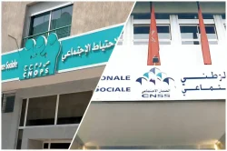 بعد جدل إدماج الكنوبس في CNSS، مجلس الشامي يدعو لرفع نسبة التعويضات عن المصاريف الصحية