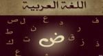 بالوثيقة.. العربية تتفوق على نظيرتها الفرنسية والألمانية وتُصنف ضمن أقوى اللغات عالميا